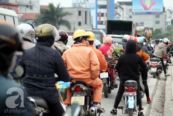 chợ hoa quảng bá